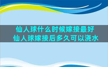 仙人球什么时候嫁接最好 仙人球嫁接后多久可以浇水